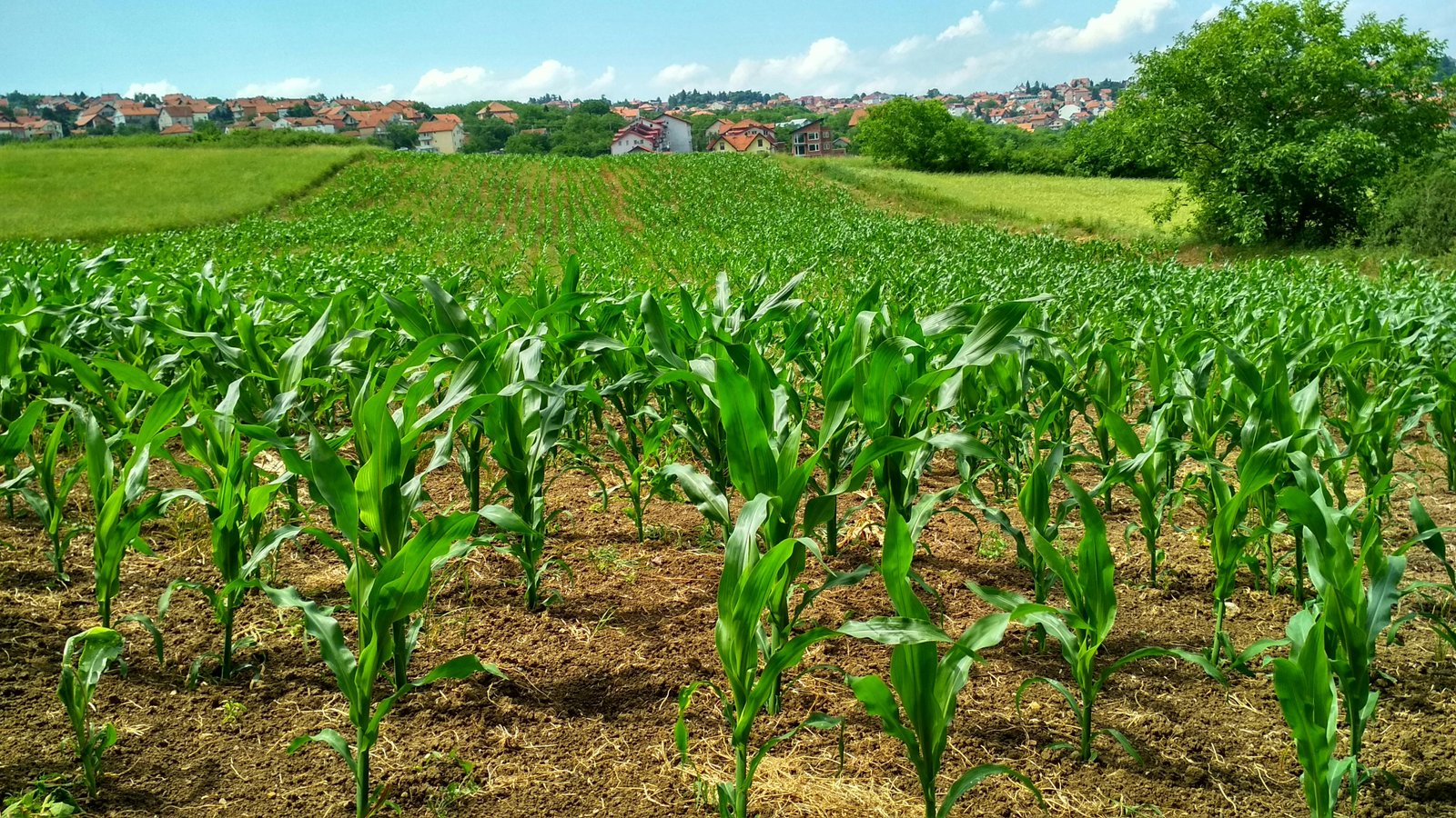 JANKI Agriculture Solutions